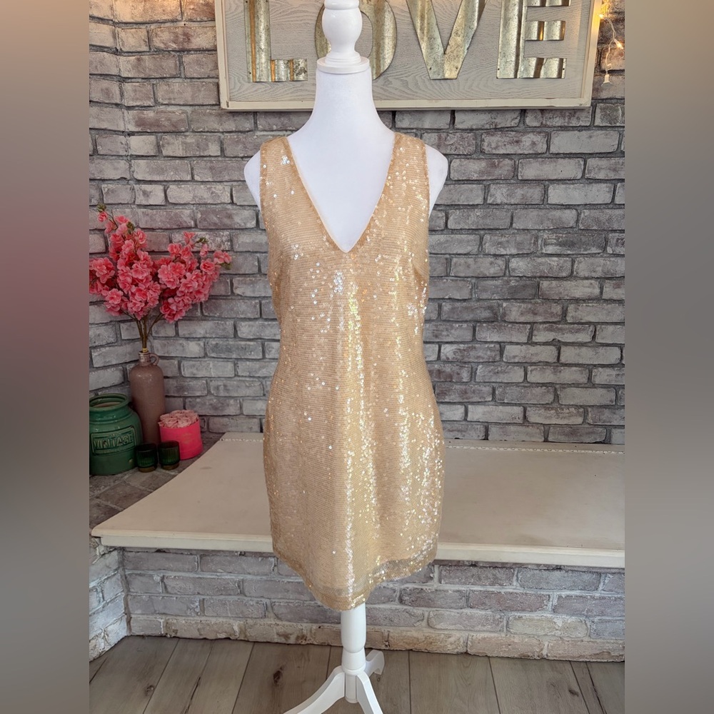 Brand new champagne colored sequinned dress.